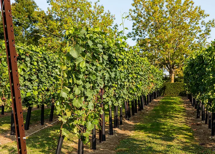 Landgoed Kasteel De Hoogenweerth 마스트리흐트