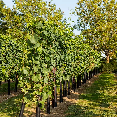 Landgoed Kasteel De Hoogenweerth Maastricht